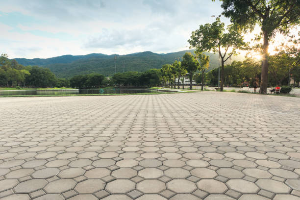Best Decorative Driveway Pavers  in Arthurtown, SC